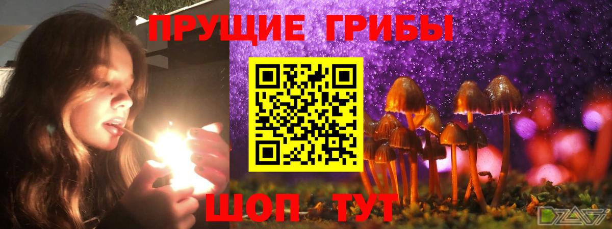как найти закладки  Галлюциногенные грибы GOLDEN TEACHER  Вход с VPN  Вязники 